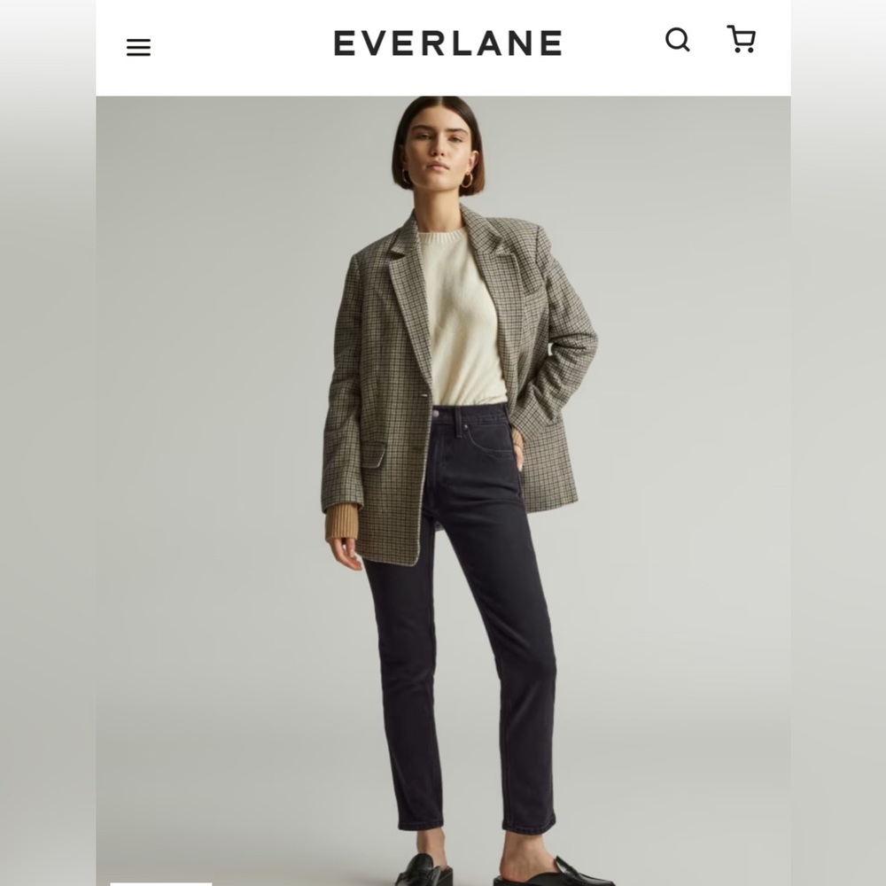 Original Cheeky Jean - Straight leg - Everlane size 29 R - NWT!